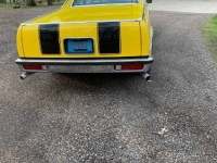 1979 Chevrolet El Camino for sale in Michigan (ID-120124)