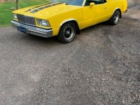 1979 Chevrolet El Camino for sale in Michigan (ID-120124)