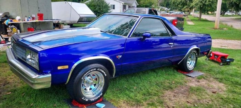 1979 Chevrolet El Camino for sale in Michigan (ID-127774)