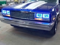 1979 Chevrolet El Camino for sale in Michigan (ID-127774)