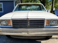 1979 Chevrolet El Camino for sale in Michigan (ID-136888)