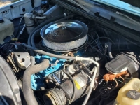 1979 Chevrolet El Camino for sale in Michigan (ID-136888)