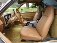 1979 Chevrolet El Camino for sale in Michigan (ID-144253)