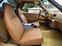 1979 Chevrolet El Camino for sale in Michigan (ID-144253)
