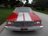 1979 Chevrolet El Camino for sale in Michigan (ID-144253)