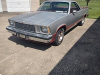1979 Chevrolet El Camino for sale in Michigan (ID-163424)