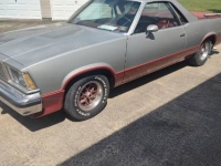 1979 Chevrolet El Camino for sale in Michigan (ID-163424)