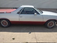 1979 Chevrolet El Camino for sale in Michigan (ID-163424)