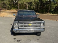 1979 Chevrolet K10 for sale in Michigan (ID-141792)