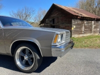 1979 Chevrolet Malibu for sale in Michigan (ID-97544)