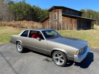 1979 Chevrolet Malibu for sale in Michigan (ID-97544)