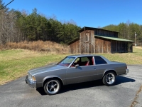 1979 Chevrolet Malibu for sale in Michigan (ID-97544)