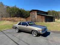 1979 Chevrolet Malibu for sale in Michigan (ID-97544)