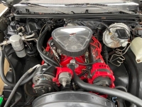 1979 Chevrolet Malibu for sale in Michigan (ID-97544)