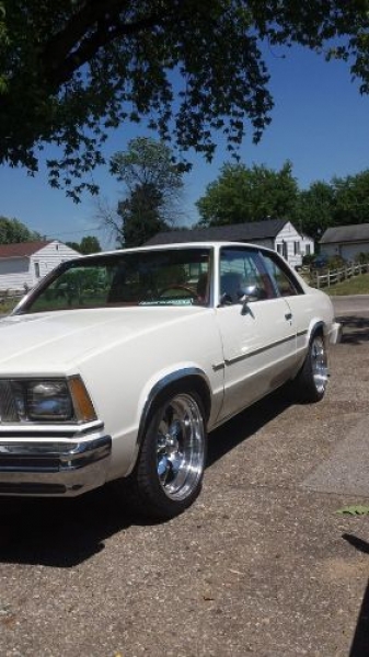 1979 Chevrolet Malibu for sale in Michigan (ID-109985)