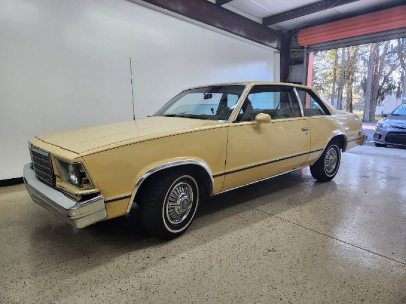 1979 Chevrolet Malibu for sale in Michigan (ID-113650)