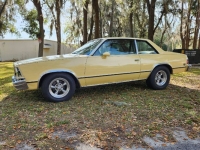 1979 Chevrolet Malibu for sale in Michigan (ID-113650)