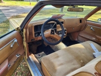 1979 Chevrolet Malibu for sale in Michigan (ID-113650)