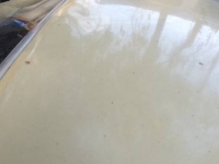 1979 Chevrolet Malibu for sale in Michigan (ID-113650)