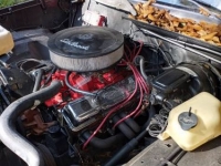 1979 Chevrolet Malibu for sale in Michigan (ID-123355)
