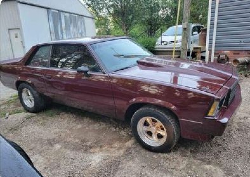 1979 Chevrolet Malibu for sale in Michigan (ID-130121)