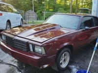1979 Chevrolet Malibu for sale in Michigan (ID-130121)