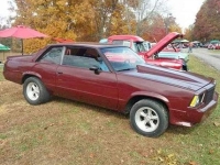 1979 Chevrolet Malibu for sale in Michigan (ID-130121)