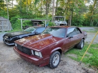 1979 Chevrolet Malibu for sale in Michigan (ID-130121)