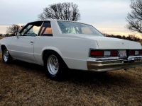 1979 Chevrolet Malibu for sale (ID-146785)