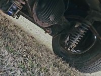 1979 Chevrolet Malibu for sale (ID-146785)