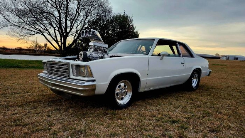 1979 Chevrolet Malibu for sale in Michigan (ID-146793)