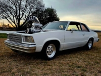 1979 Chevrolet Malibu for sale in Michigan (ID-146793)