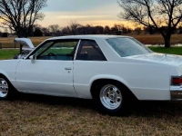 1979 Chevrolet Malibu for sale in Michigan (ID-146793)