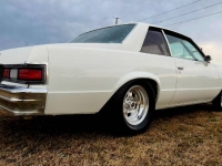 1979 Chevrolet Malibu for sale in Michigan (ID-146793)