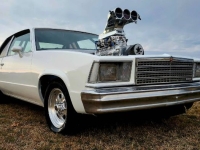 1979 Chevrolet Malibu for sale in Michigan (ID-146793)