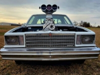 1979 Chevrolet Malibu for sale in Michigan (ID-146793)