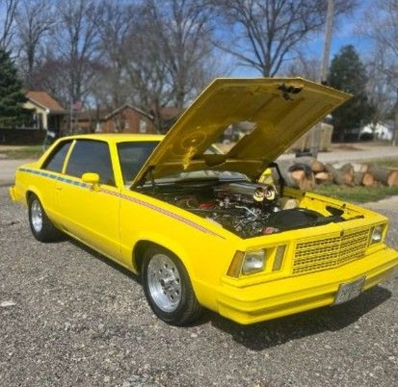 1979 Chevrolet Malibu for sale (ID-162148)