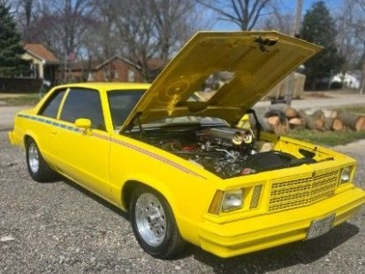 1979 Chevrolet Malibu for sale