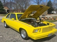 1979 Chevrolet Malibu for sale (ID-162148)