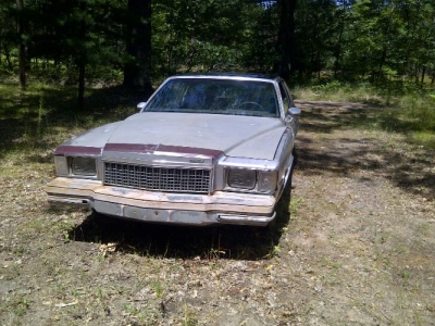 1979 Chevrolet Monte Carlo for sale