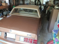 1979 Chevrolet Monte Carlo for sale in Michigan (ID-128281)