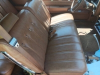 1979 Chevrolet Monte Carlo for sale in Michigan (ID-128281)