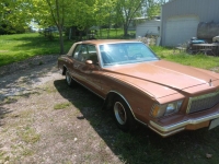 1979 Chevrolet Monte Carlo for sale in Michigan (ID-128281)