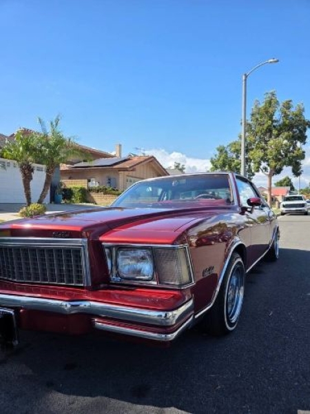 1979 Chevrolet Monte Carlo for sale in Michigan (ID-162795)