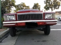 1979 Chevrolet Monte Carlo for sale in Michigan (ID-162795)