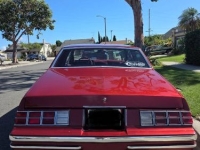 1979 Chevrolet Monte Carlo for sale in Michigan (ID-162795)