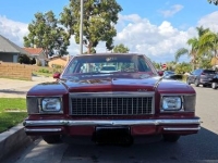 1979 Chevrolet Monte Carlo for sale in Michigan (ID-162795)