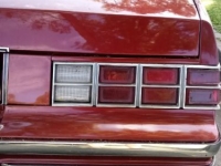 1979 Chevrolet Monte Carlo for sale in Michigan (ID-162795)