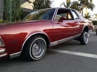 1979 Chevrolet Monte Carlo for sale in Michigan (ID-162795)