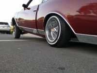 1979 Chevrolet Monte Carlo for sale in Michigan (ID-162795)